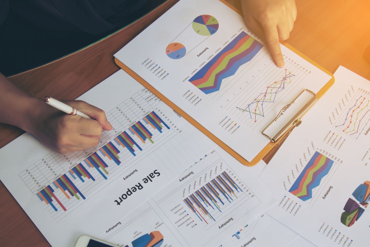 check business report