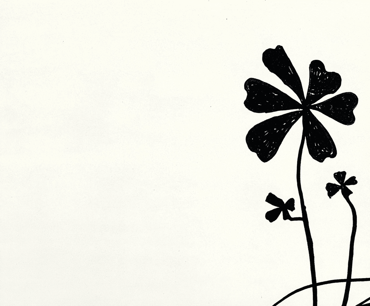 black and white clover