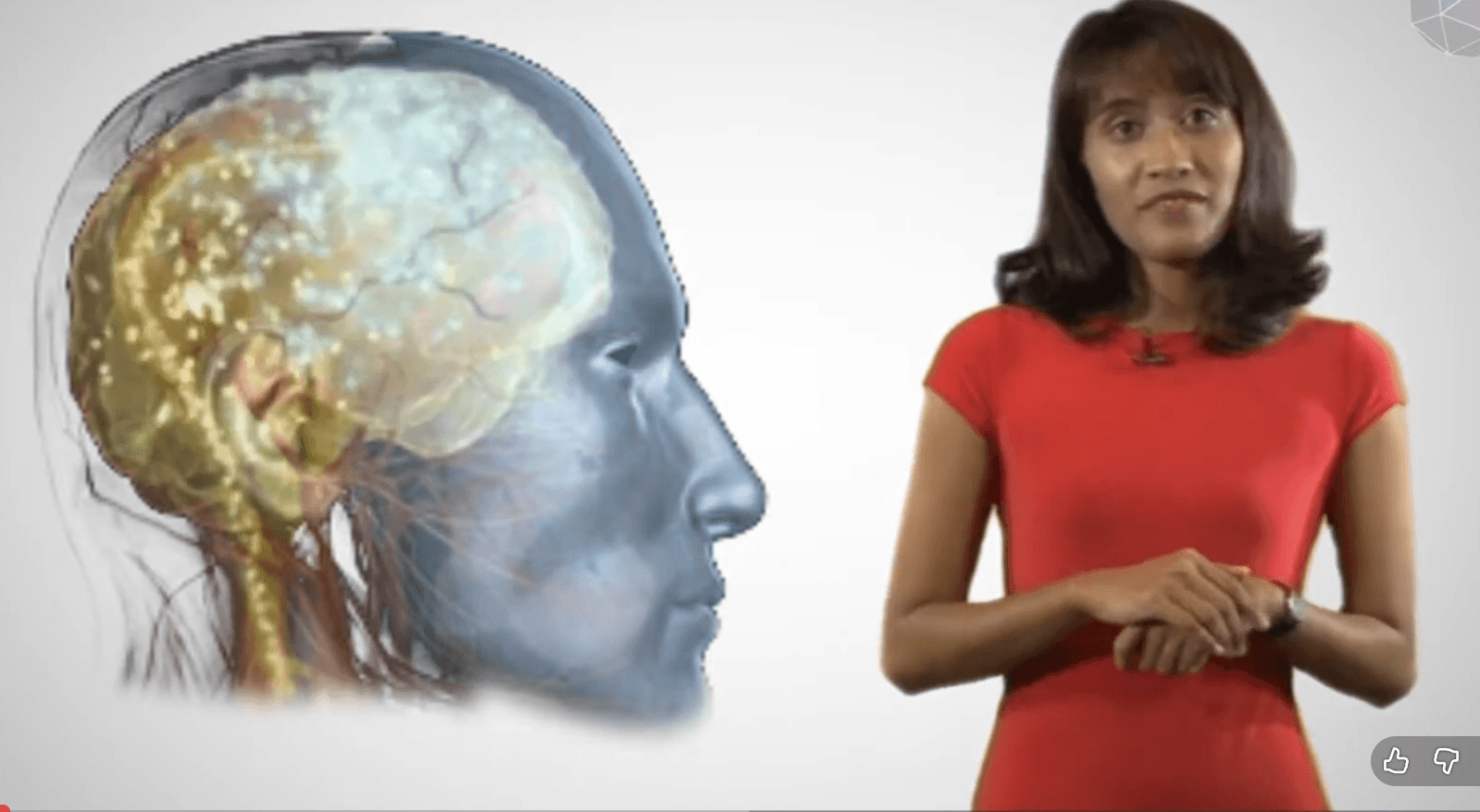 Penetapan Minda Positif
