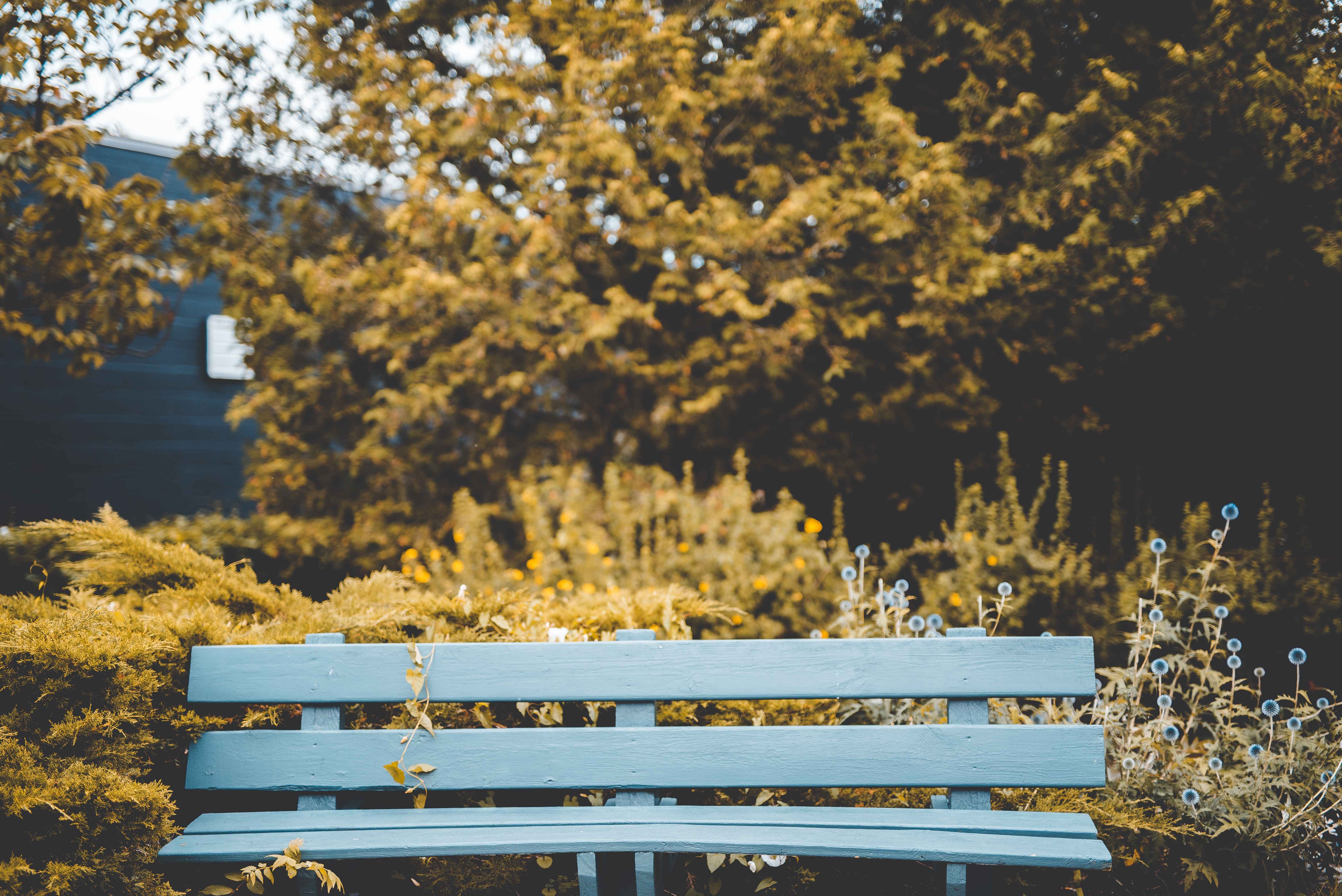 vintage photo of a blue bench