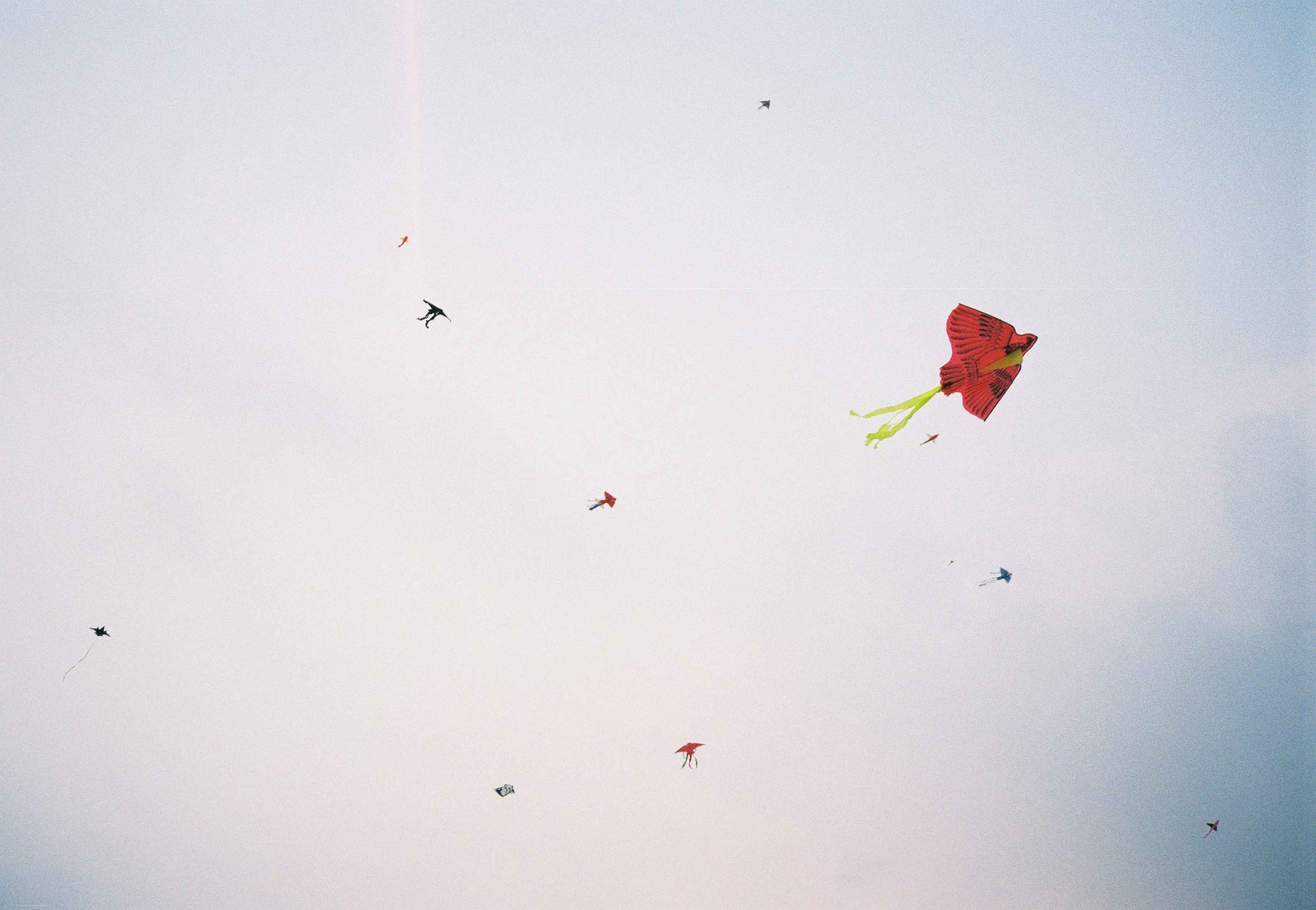 kites