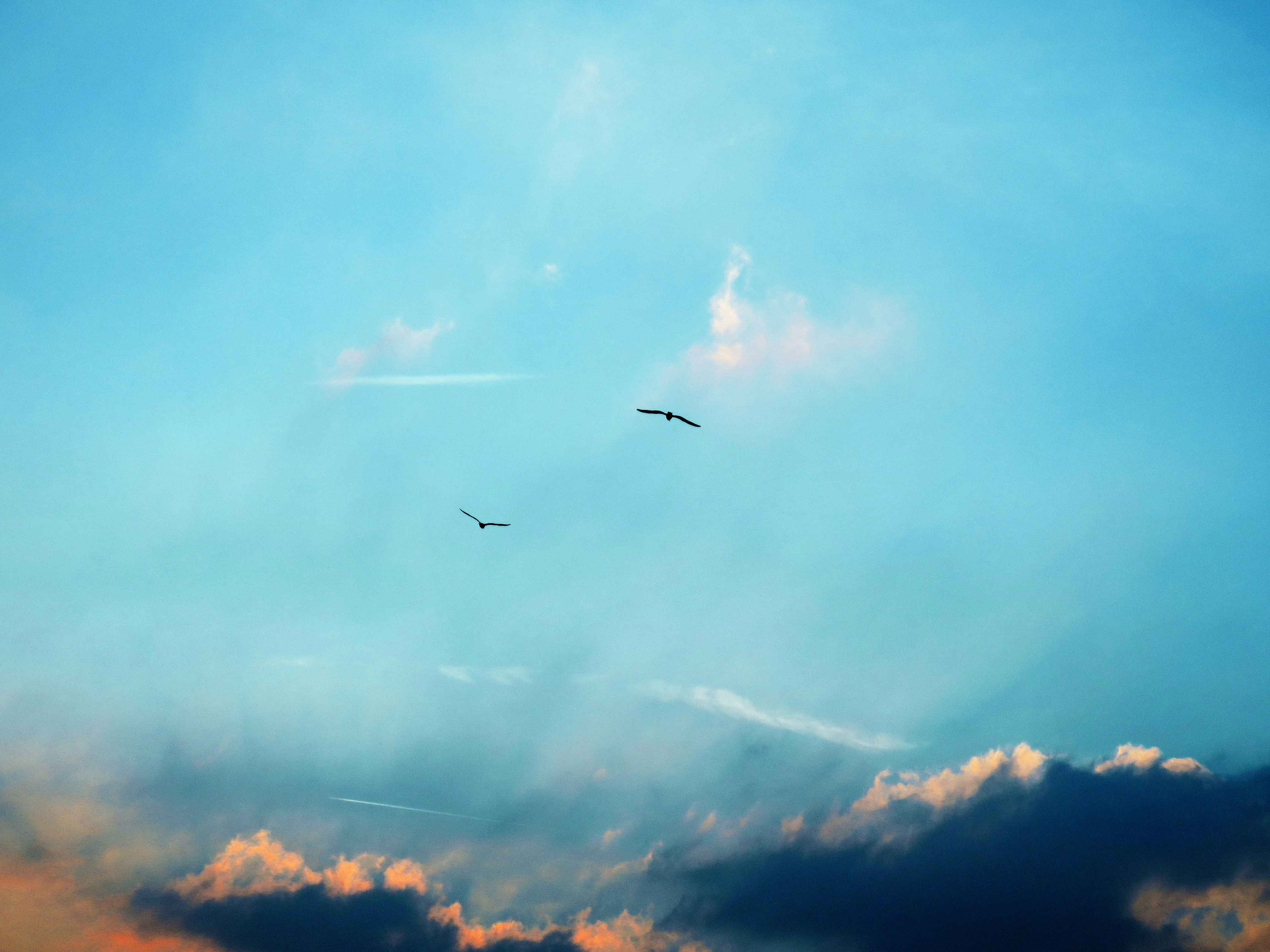 light blue sky