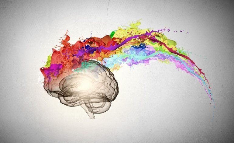 coloured brain