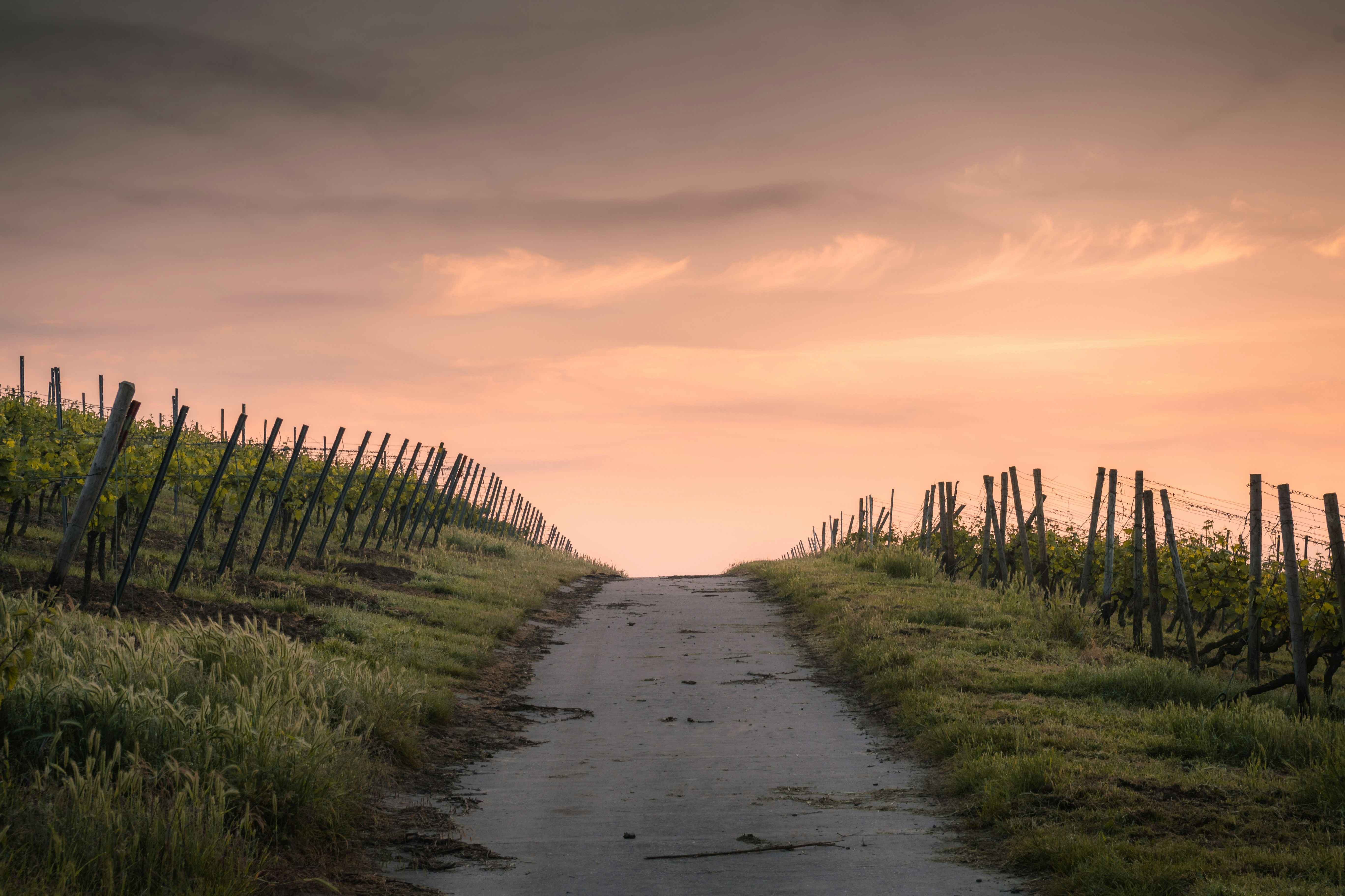 sunset view of a road