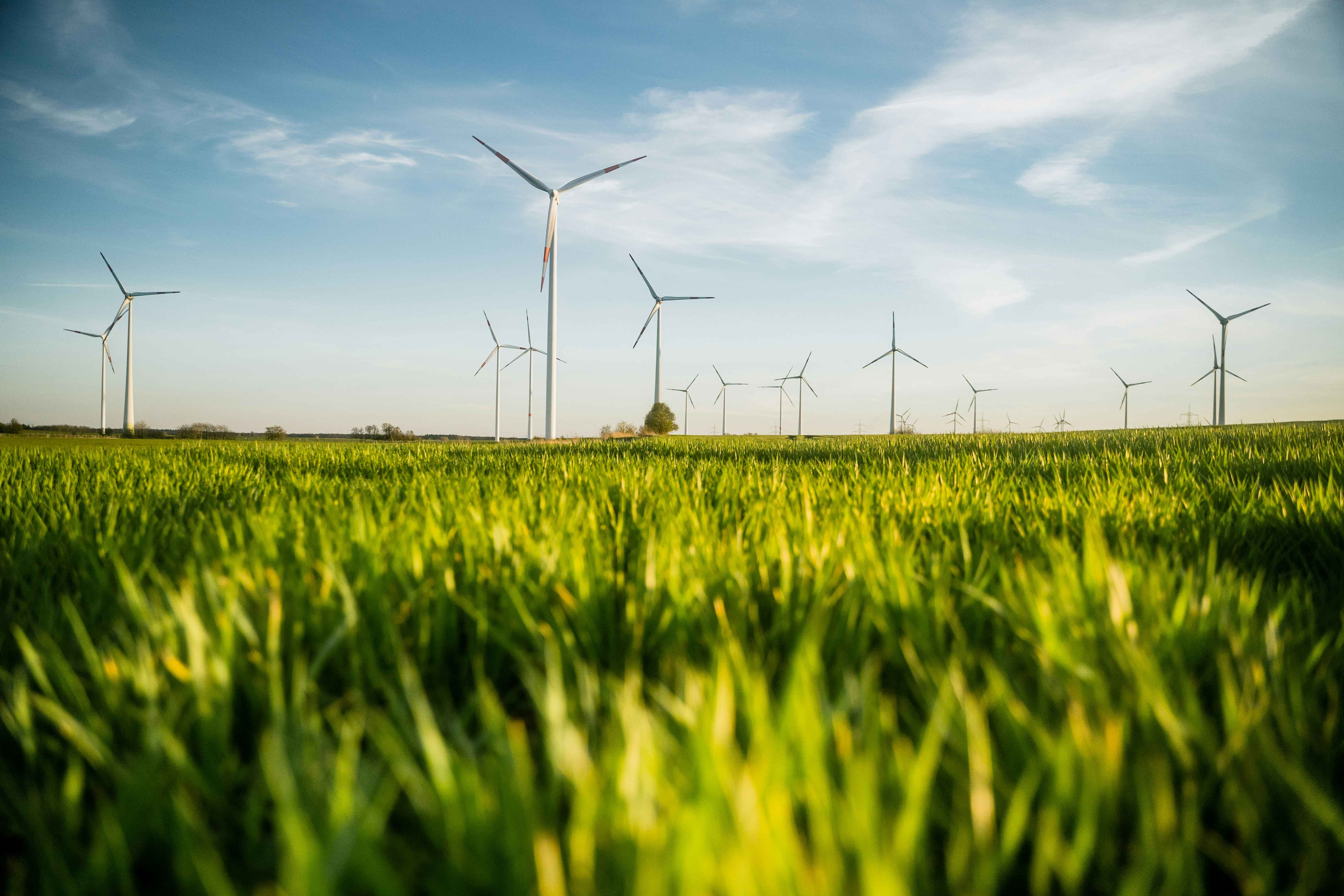 sustainability