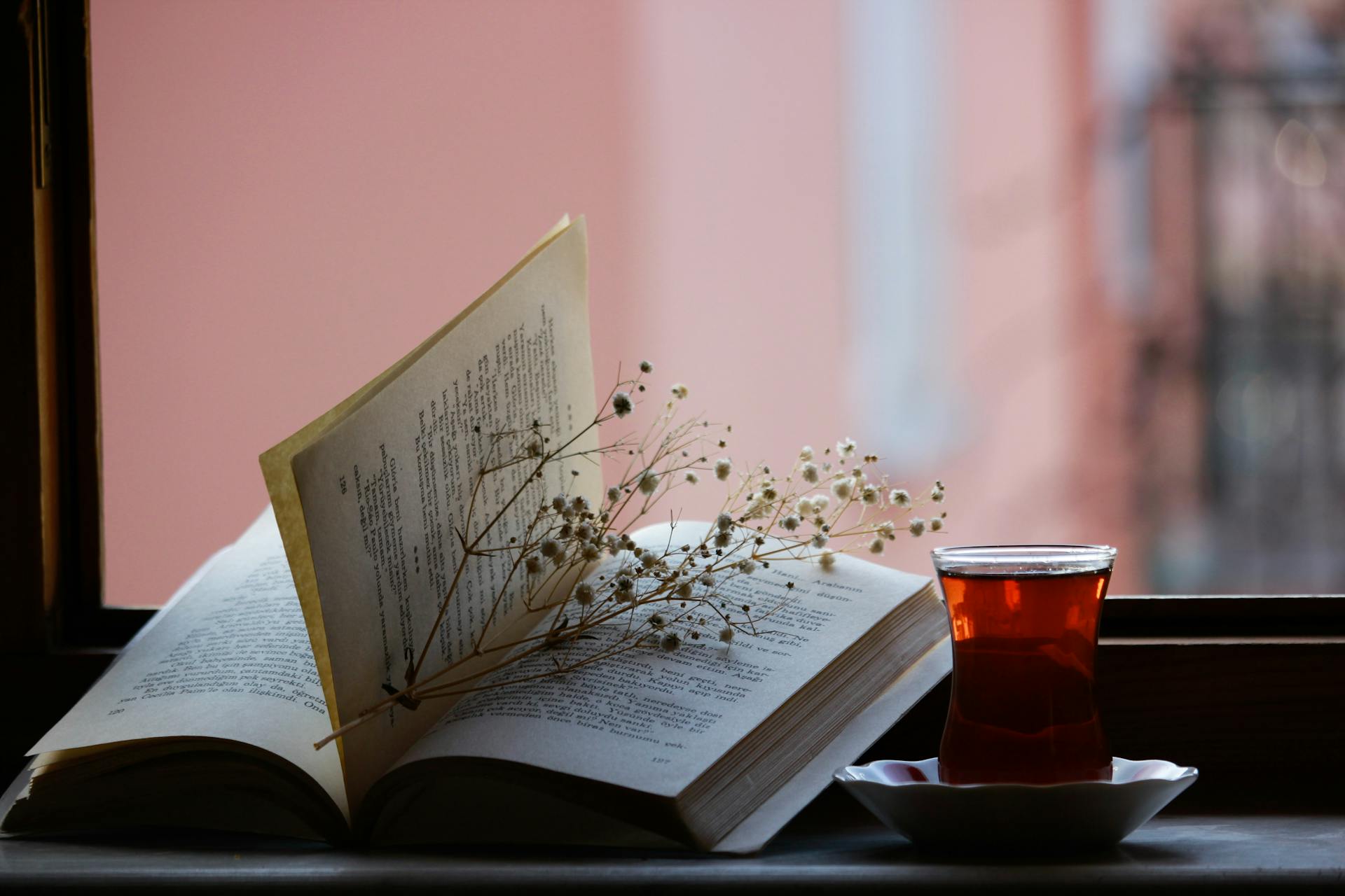 a book and a cup of tea