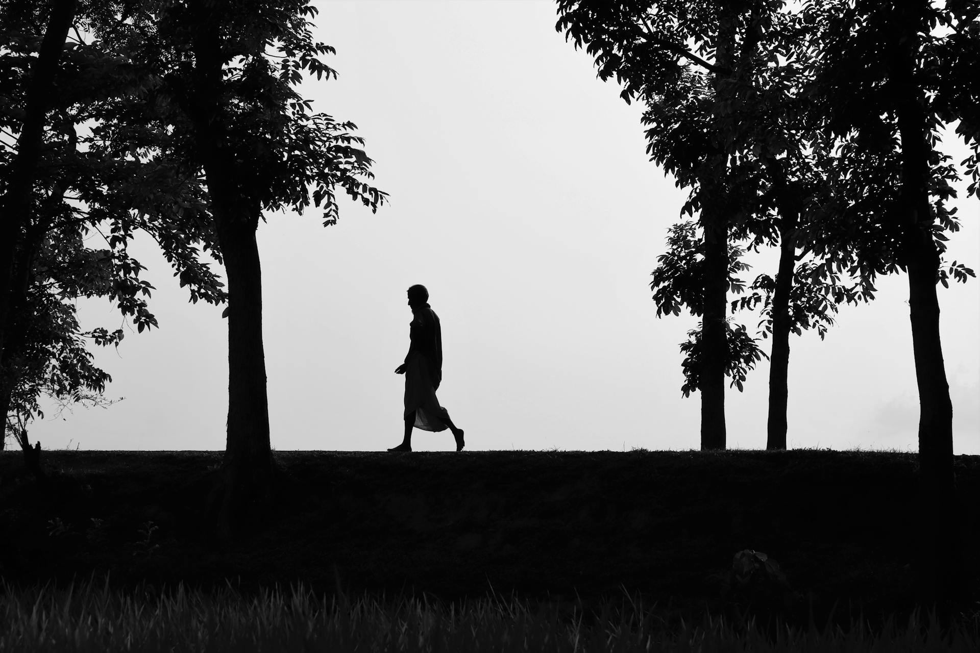 Silhouette of Man Walking