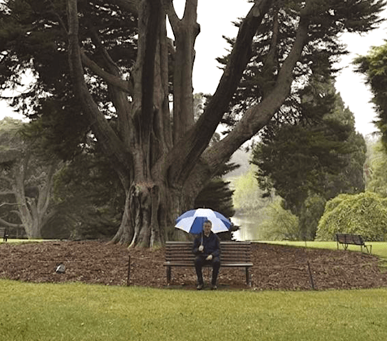 royal botanic garden