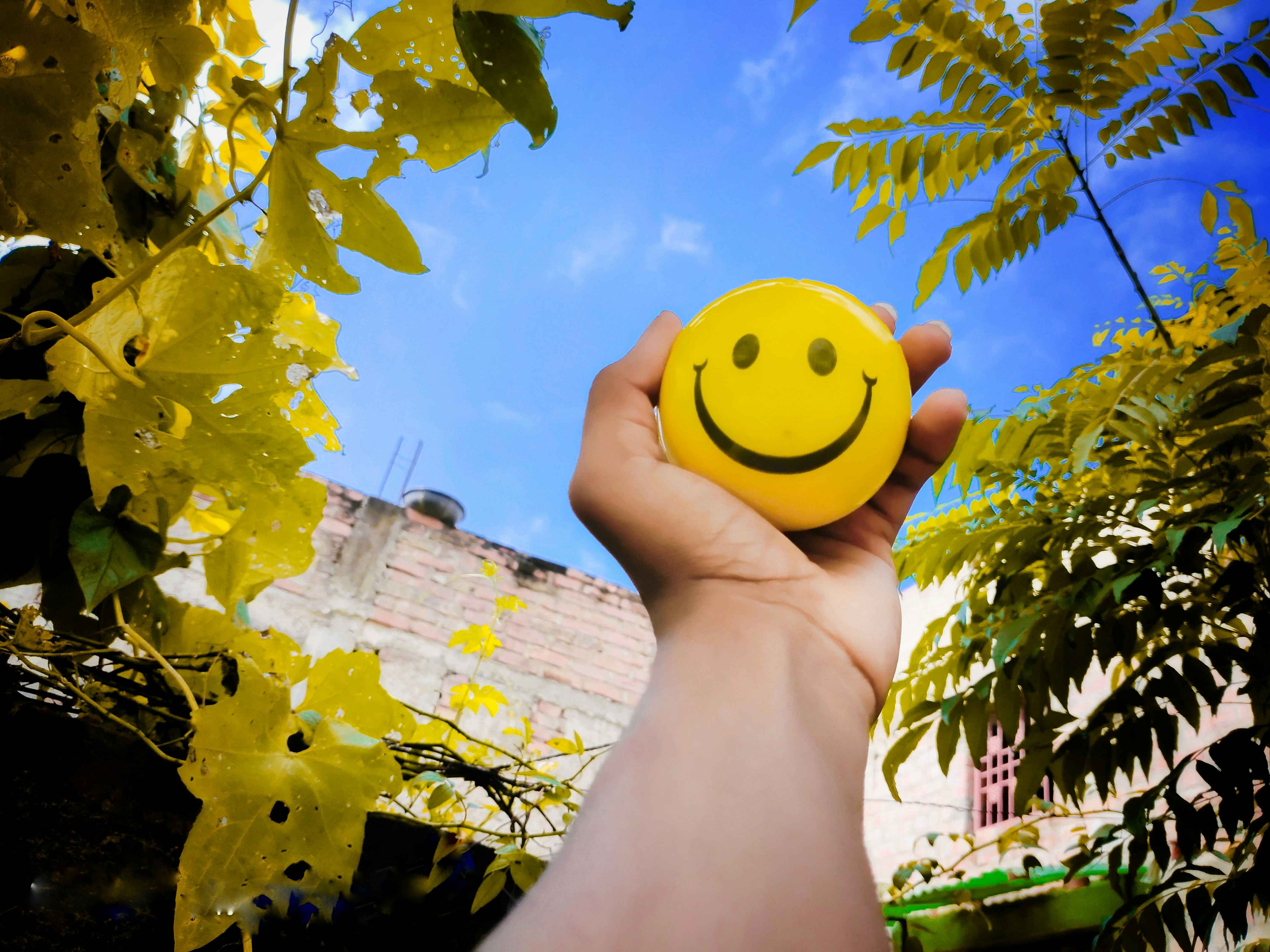 smiley face emoticon